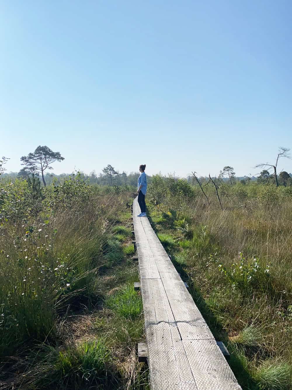 Wooldse Veen Hochmoor - Reisemagazin Bravebird