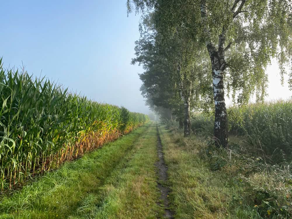 Wooldse Veen Hochmoor - Reisemagazin Bravebird