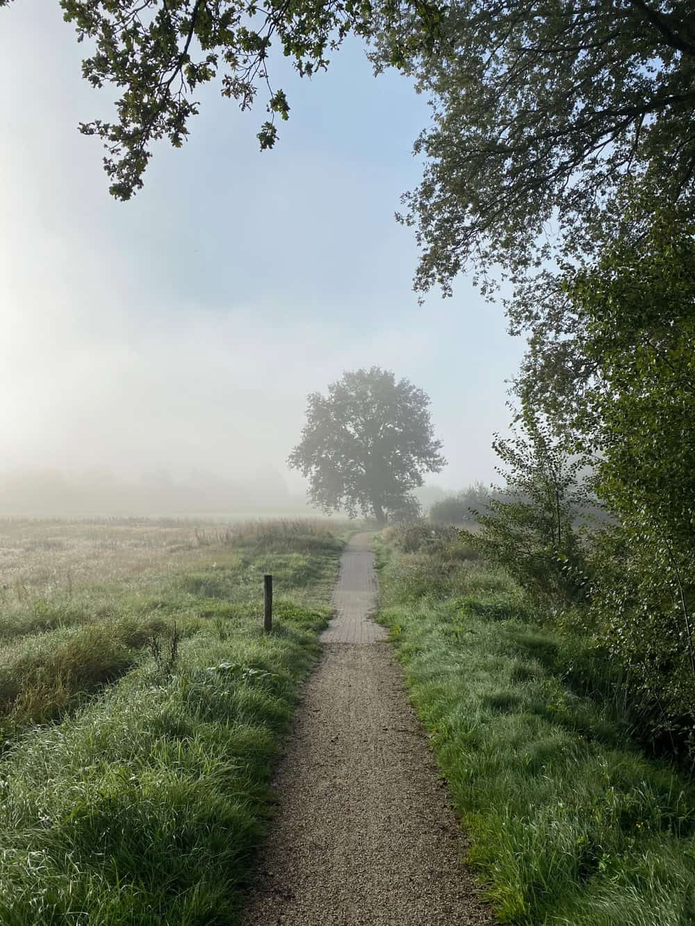 Wooldse Veen Hochmoor - Reisemagazin Bravebird