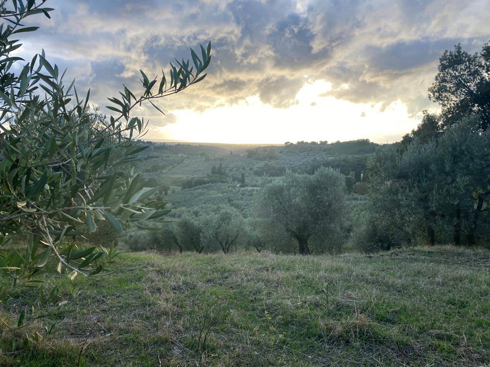 Casale Marittimo Bergdorf Toskana - Reisemagazin Bravebird