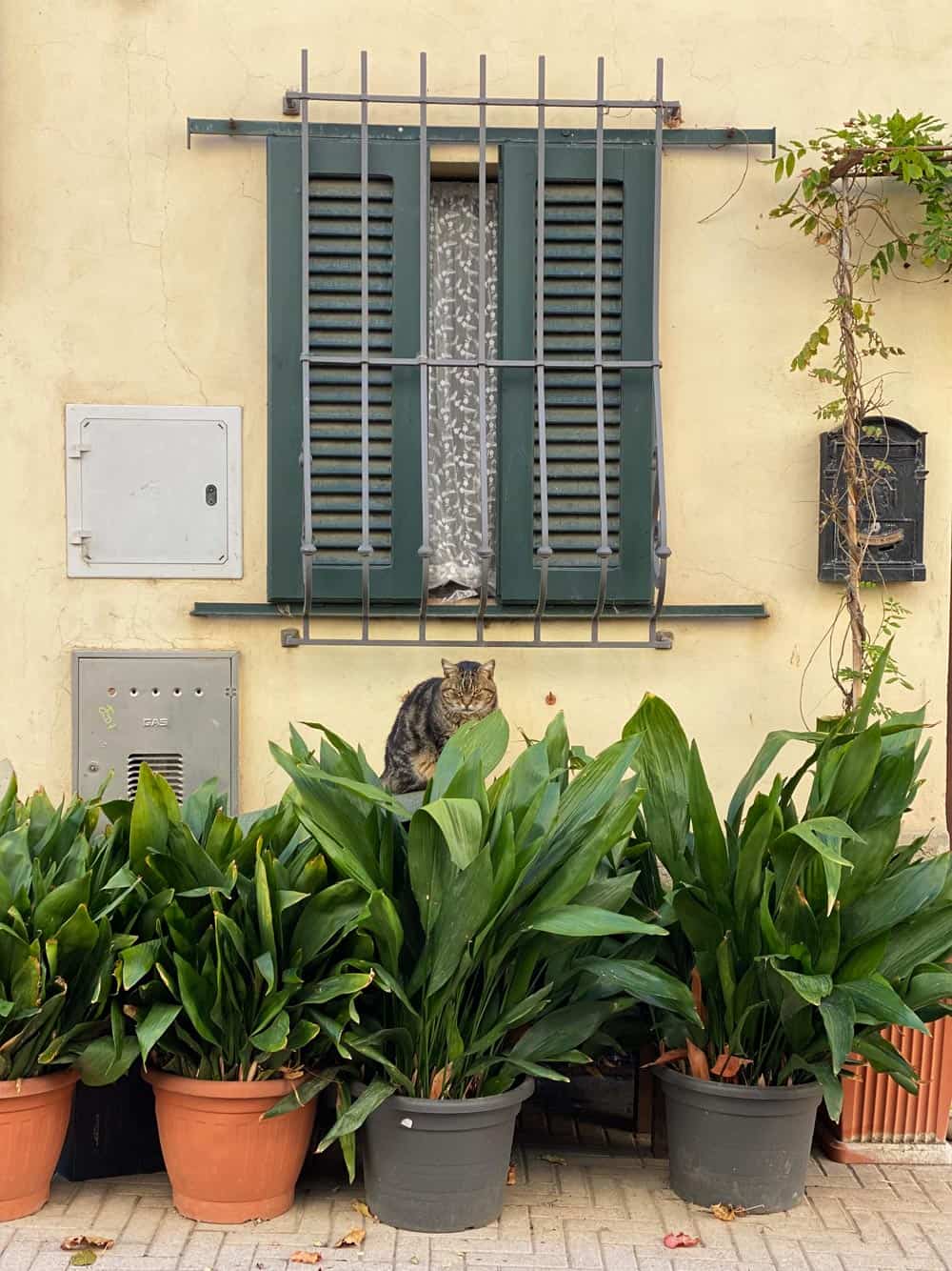 Montescudaio Bergdorf in der Toskana - Reisemagazin Bravebird