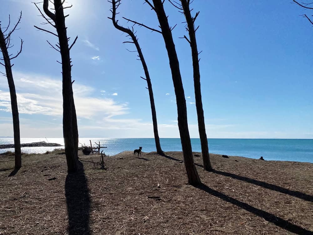 Strand von Cecina im Herbst - Reisemagazin Bravebird