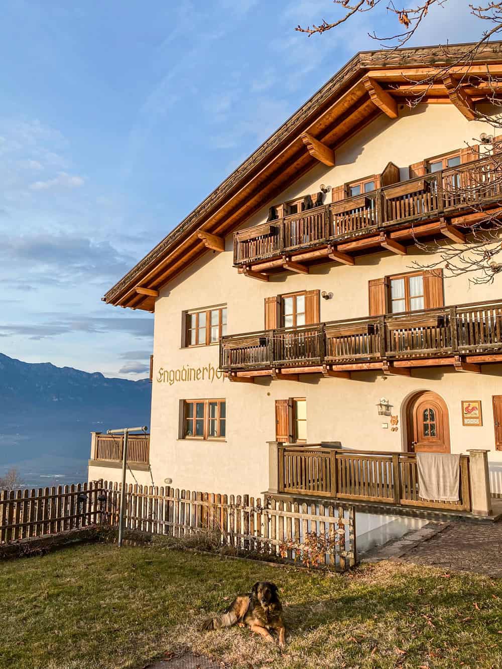 Ferienwohnung in Südtirol Engadinerhof - Reisemagazin Bravebird