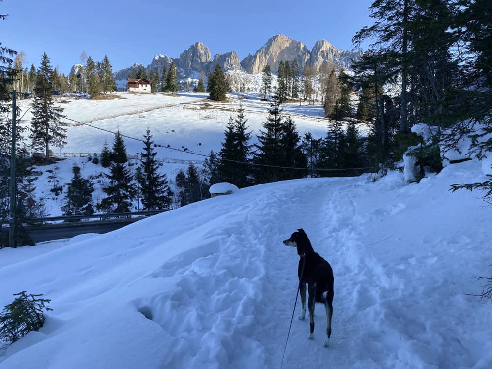 Karer See in Südtirol Winter - Reisemagazin Bravebird