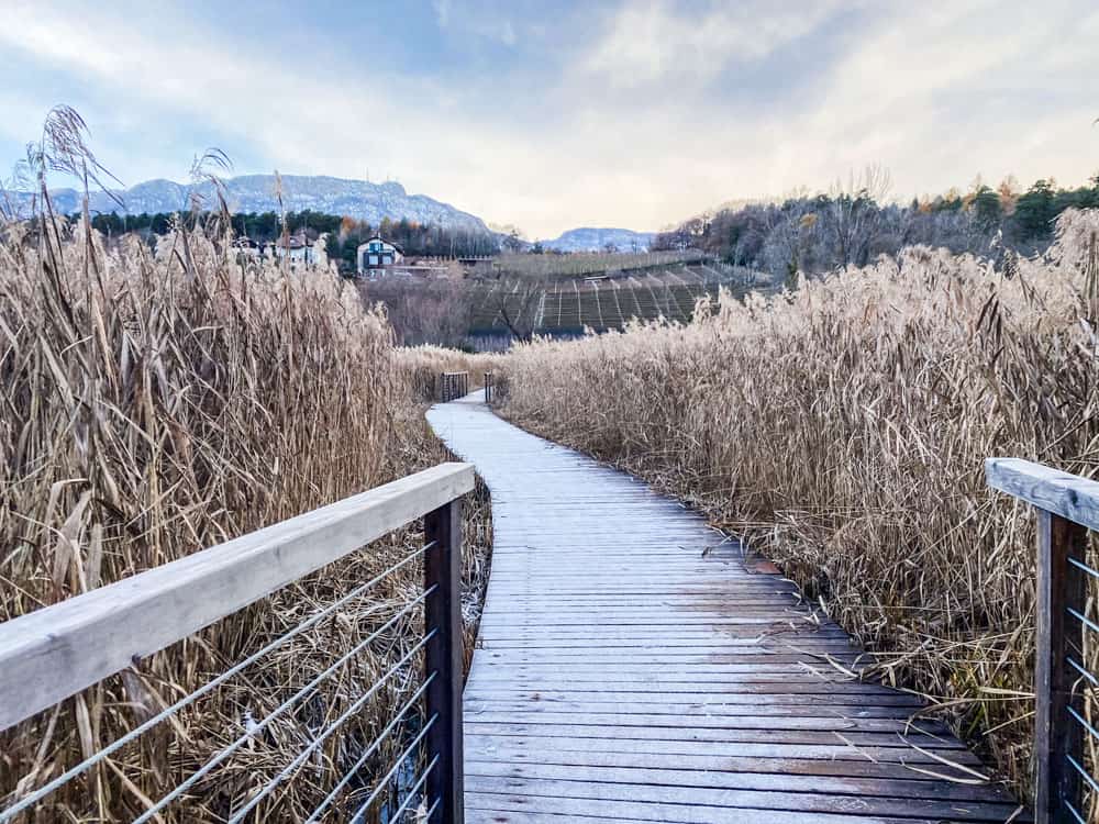 Montiggler Seen in Südtirol - Reisemagazin Bravebird