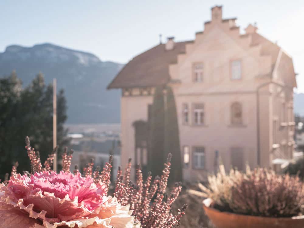 Tramin im Winter - Reisemagazin Bravebird