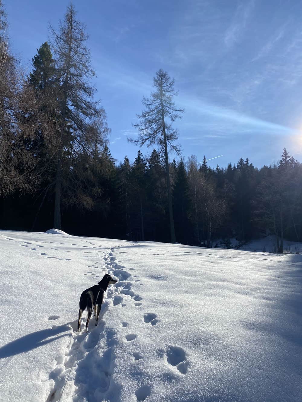 Wanderung von Truden Südtirol - Reisemagazin Bravebird