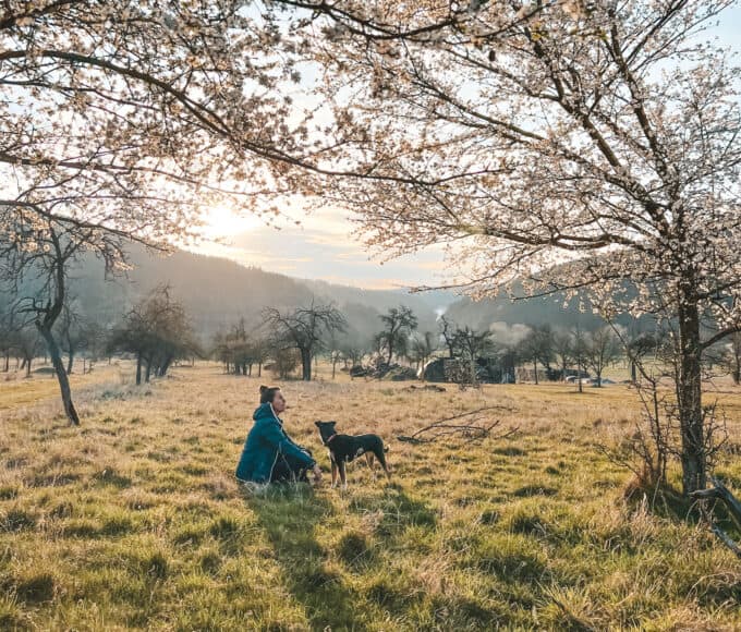 Auswandern - Was dagegen spricht - Bravebird Reisemagazin