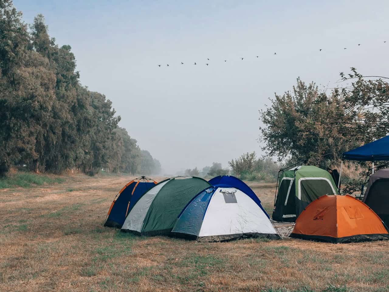 Die 6 besten Kuppelzelte für 2-4 Personen - Reisemagazin Bravebird