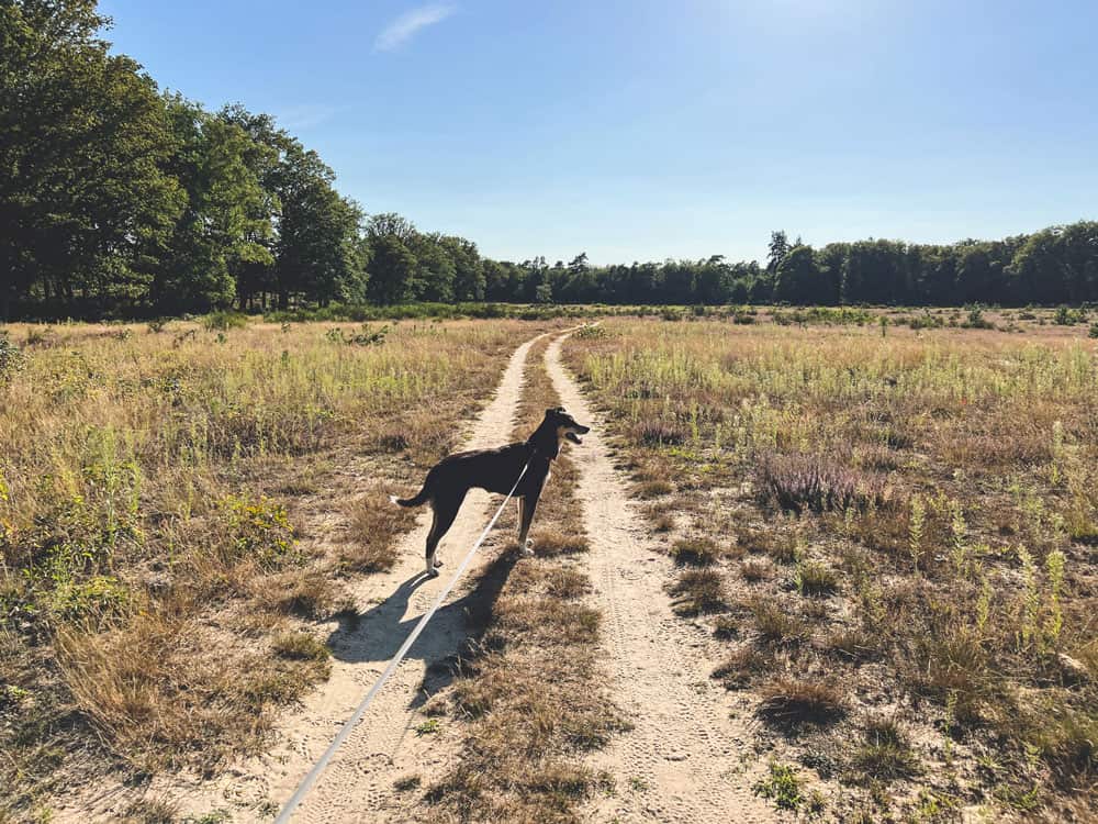 Wandern in Leudal Limburg - Reisemagazin Bravebird