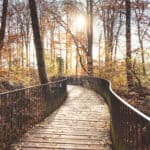 Reisetipp Sauerland - Das Felsenmeer Hemer - Reiseblog Bravebird