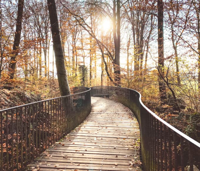 Reisetipp Sauerland - Das Felsenmeer Hemer - Reiseblog Bravebird