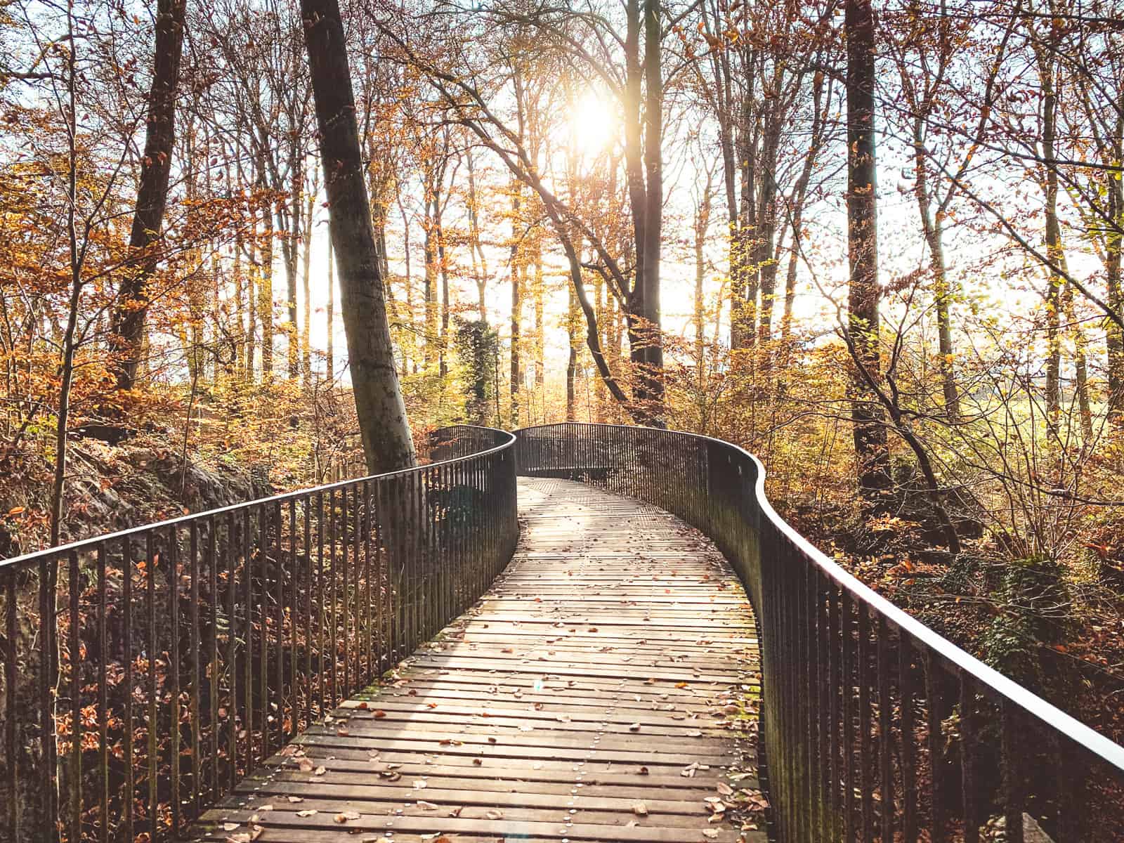 Reisetipp Sauerland - Das Felsenmeer Hemer - Reiseblog Bravebird