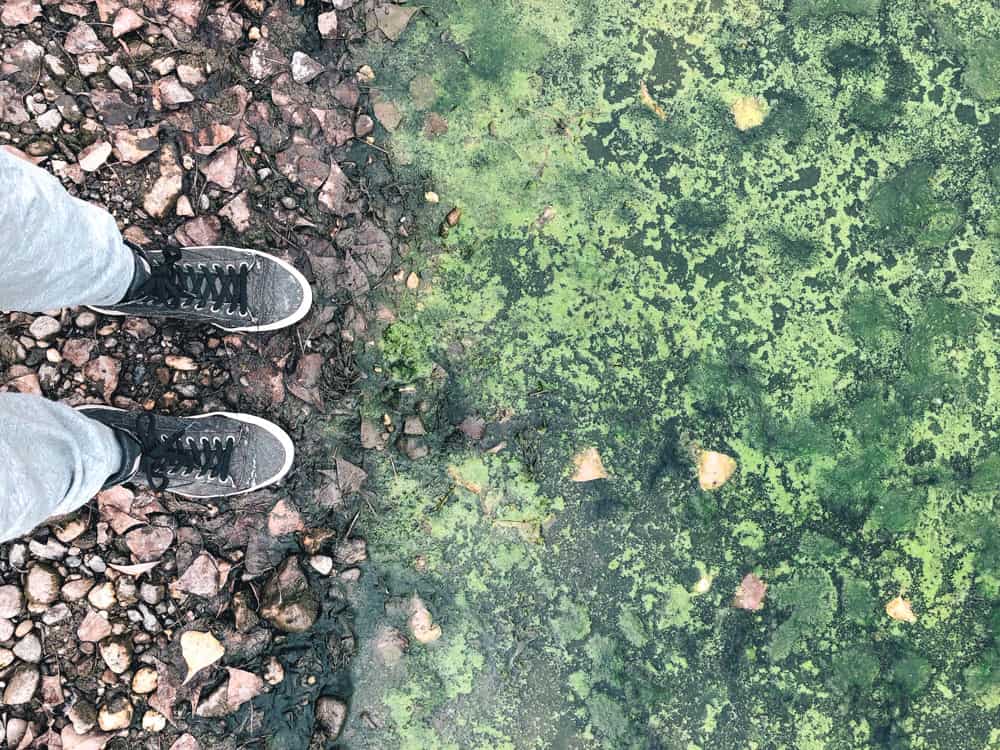 Über Solastalgie - Reiseblog Bravebird