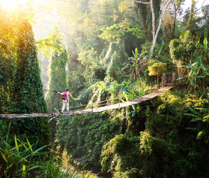 Naturreisen Gruppenreisen Natürlich Reisen - Reiseblog Bravebird