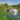 Hausboot mieten Tipps - Reiseblog Bravebird