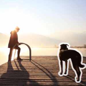Warum ich keine Werbung mehr für Hunde machen möchte - Reiseblog Bravebird