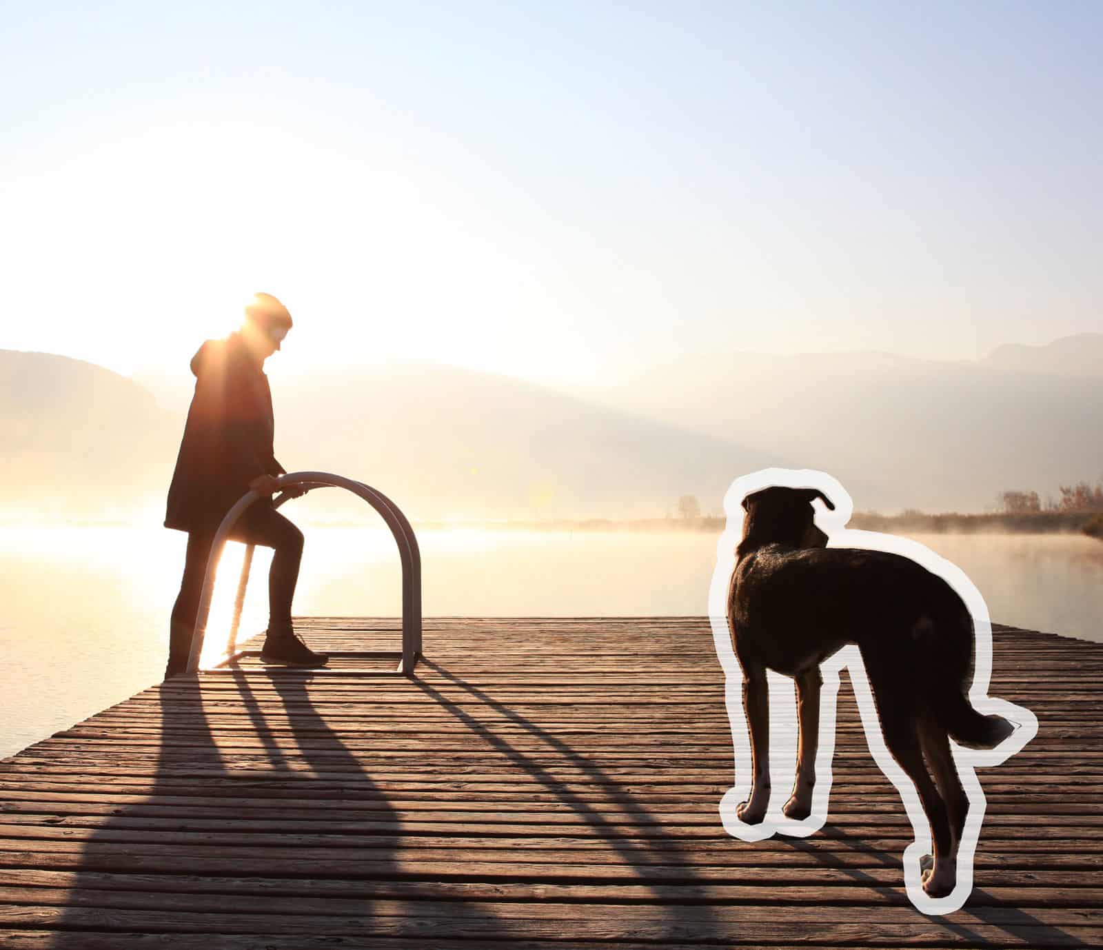 Warum ich keine Werbung mehr für Hunde machen möchte - Reiseblog Bravebird