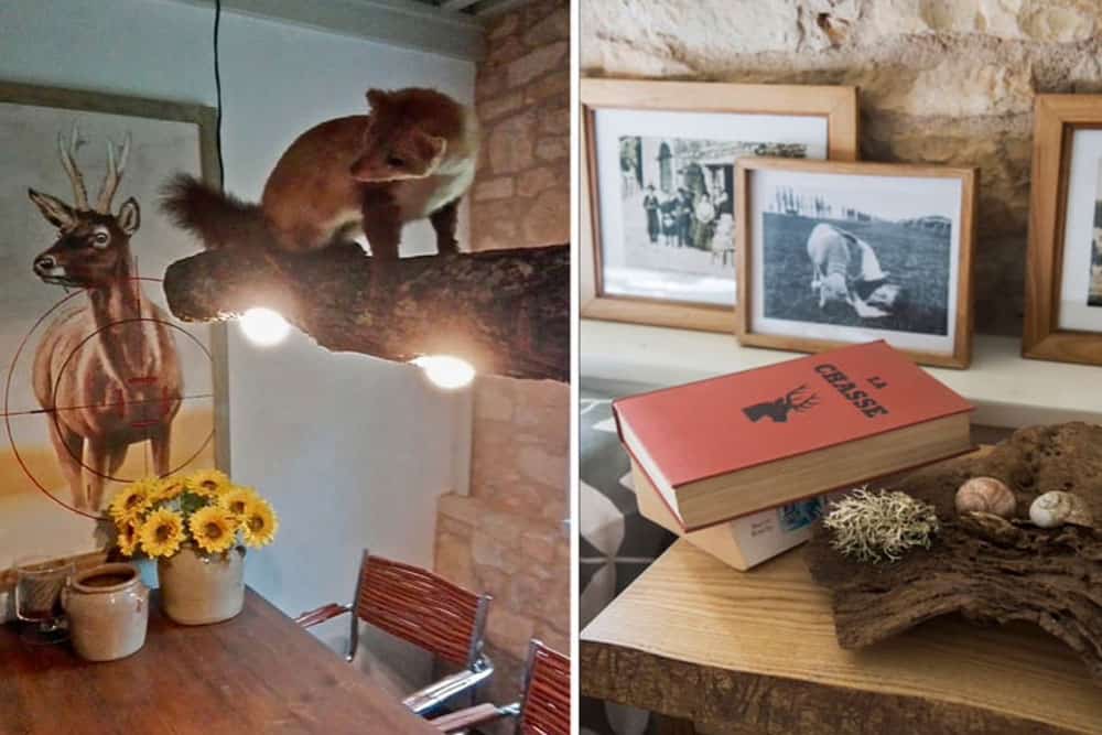 Ferienhaus Pyrenäen mieten - Reiseblog Bravebird