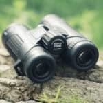 Fernglas EDEN ED Test - Reiseblog Bravebird
