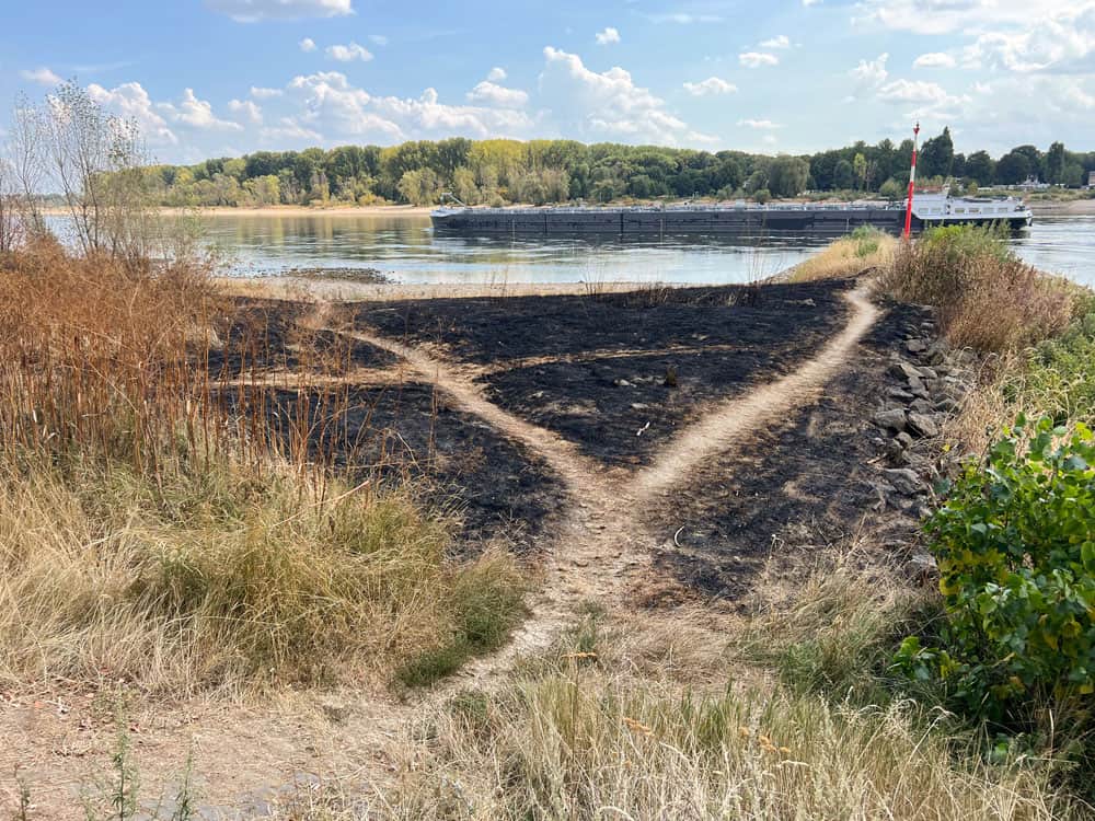 Flächenbrand durch Lagerfeuer in Köln am Rhein - Reiseblog Bravebird