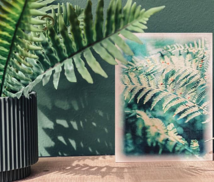 Foto auf Holz drucken - Reiseblog Bravebird