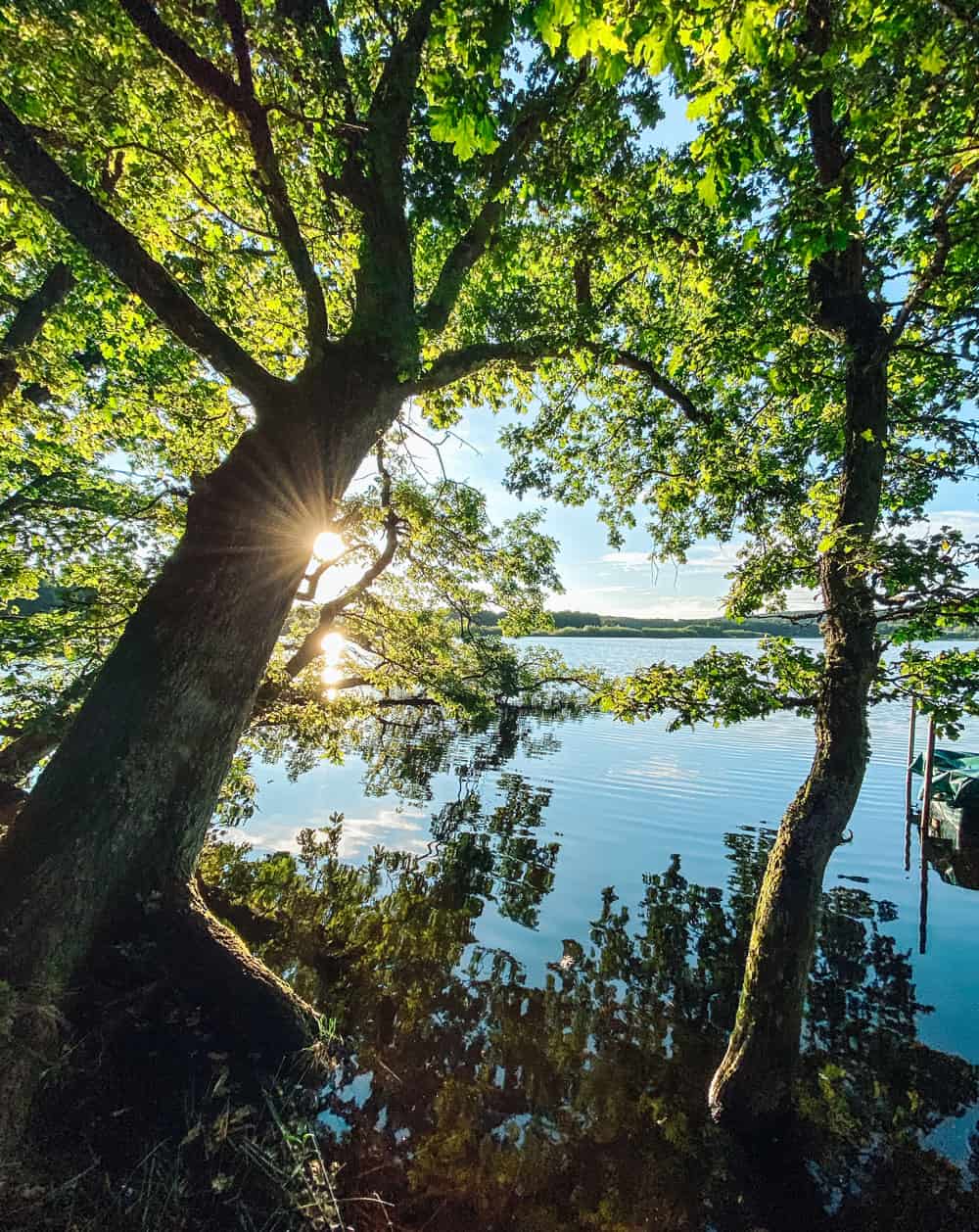 Tipp Campingplatz in der Eifel Vulkaneifel Natur - Reiseblog Bravebird