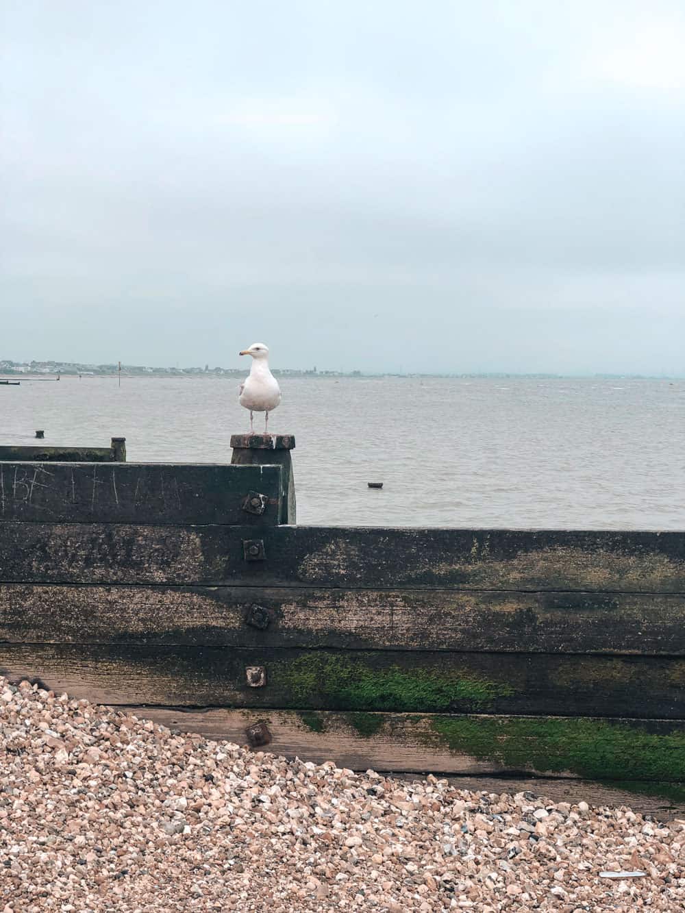 Whitstable England Osten - Reiseblog Bravebird