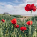 Roadtrip Ostengland Reisetipps - Reiseblog Bravebird