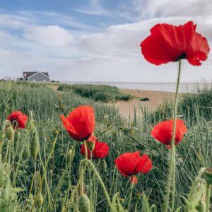 Roadtrip Ostengland Reisetipps - Reiseblog Bravebird