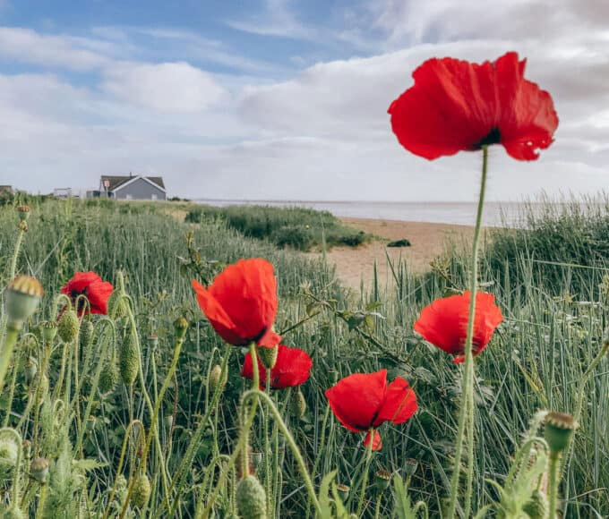 Roadtrip Ostengland Reisetipps - Reiseblog Bravebird