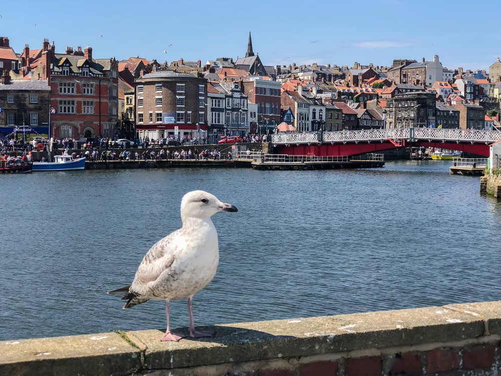 Hafenstadt Whitby Reisetipps - Reiseblog Bravebird