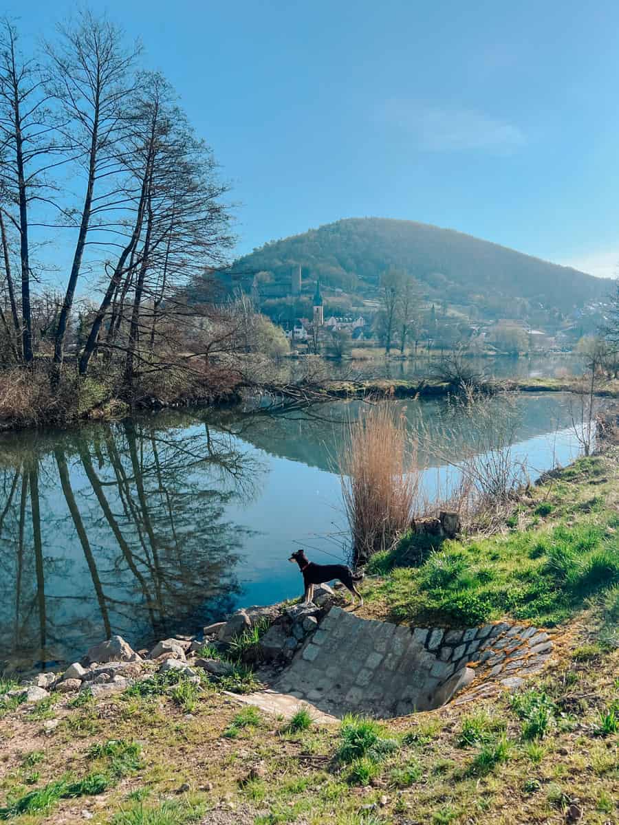 Gemünden am Main Wanderung Urlaub - Reiseblog Bravebird