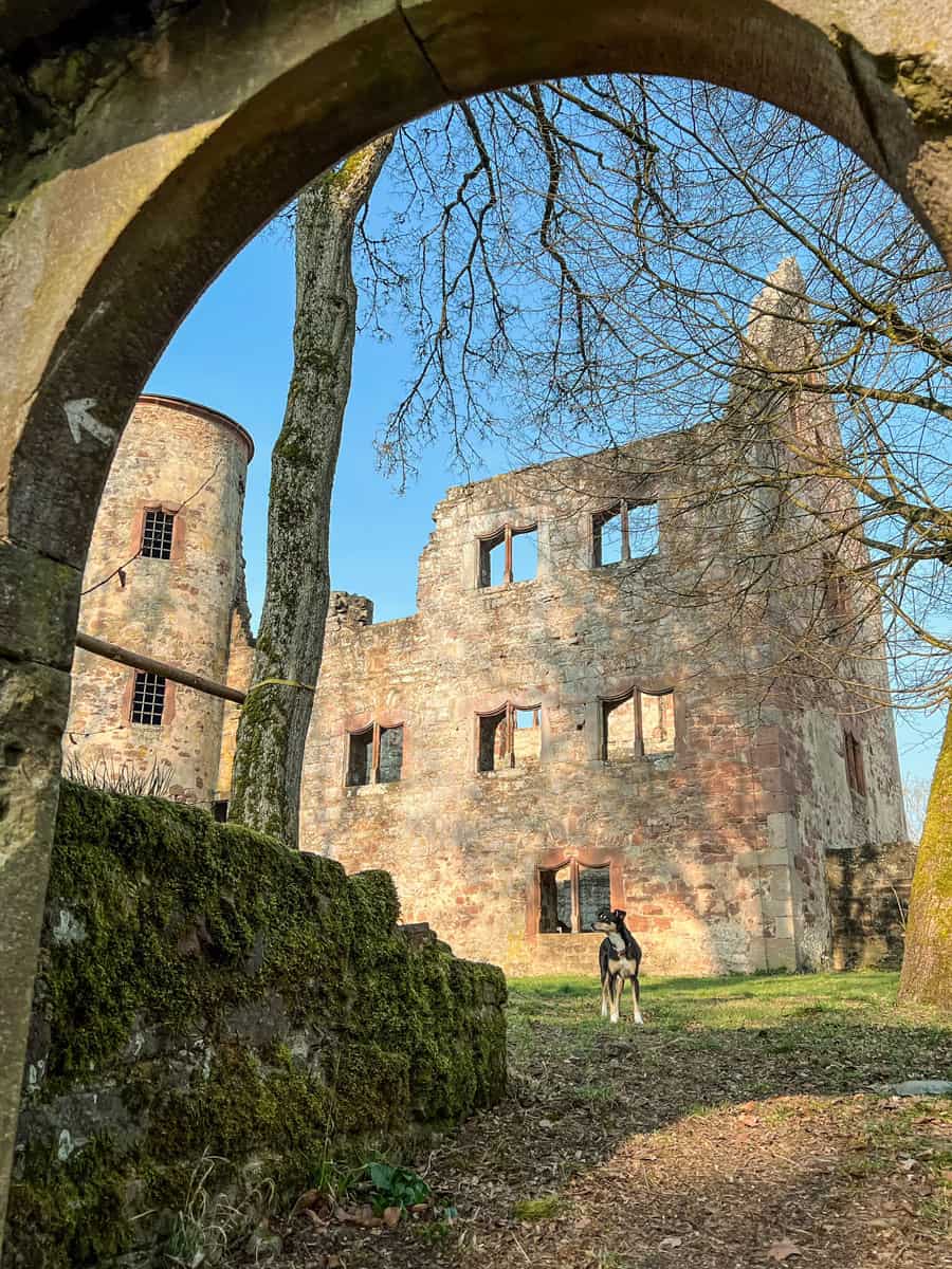 Burgruine Scherenburg Gemünden am Main Wanderung - Reiseblog Bravebird