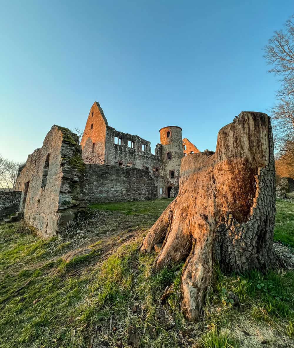 Burgruine Schönrain in Gemünden am Main - Reiseblog Bravebird