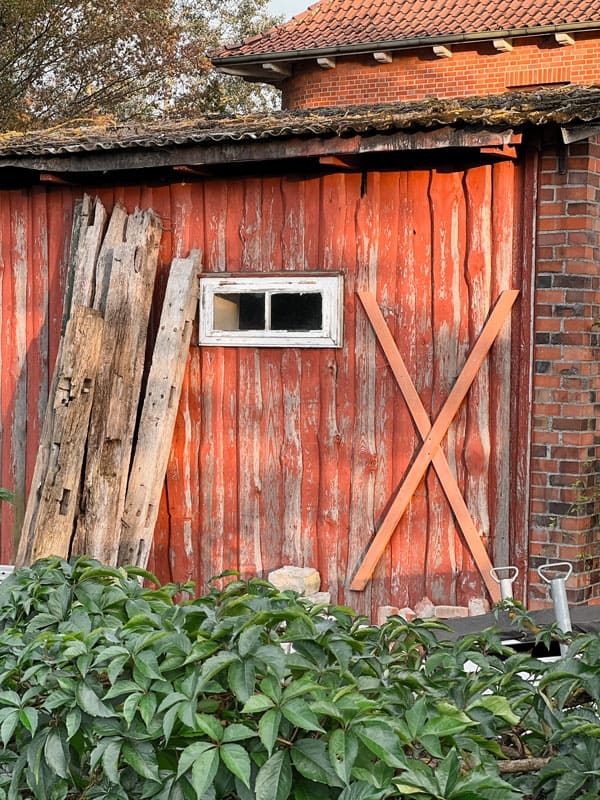 Gelbes X Atomkraft Wendland - Reiseblog Bravebird