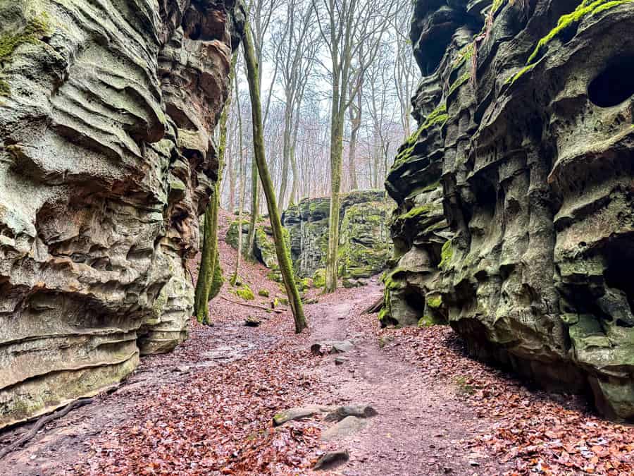 Teufelsschlucht Wanderung in der Südeifel - Reiseblog Bravebird