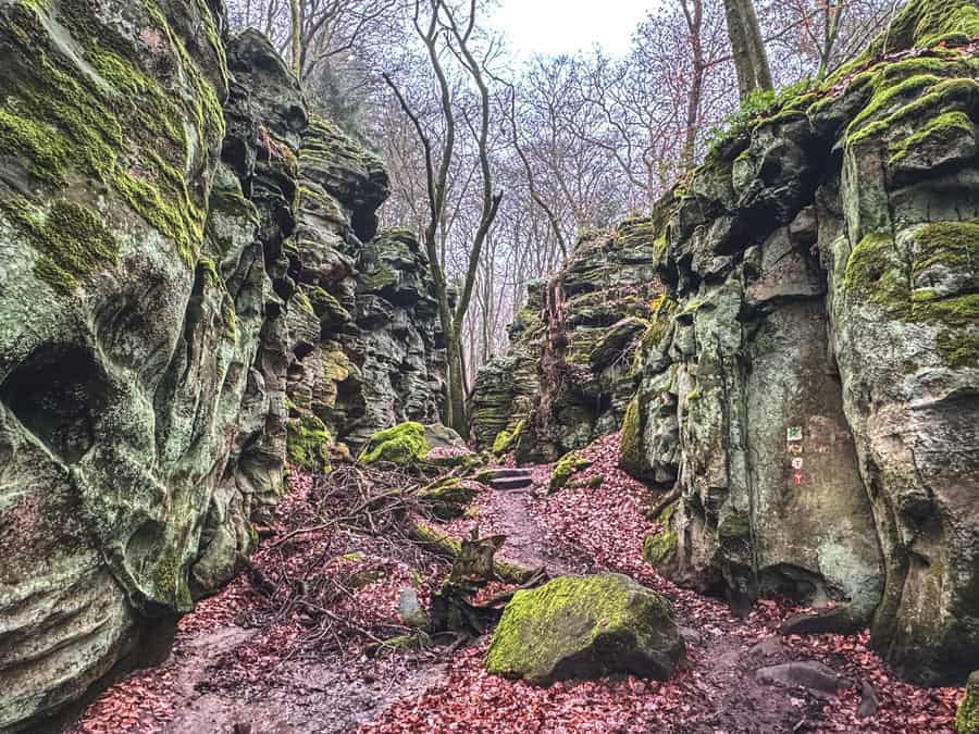 Teufelsschlucht Wanderung in der Südeifel - Reiseblog Bravebird