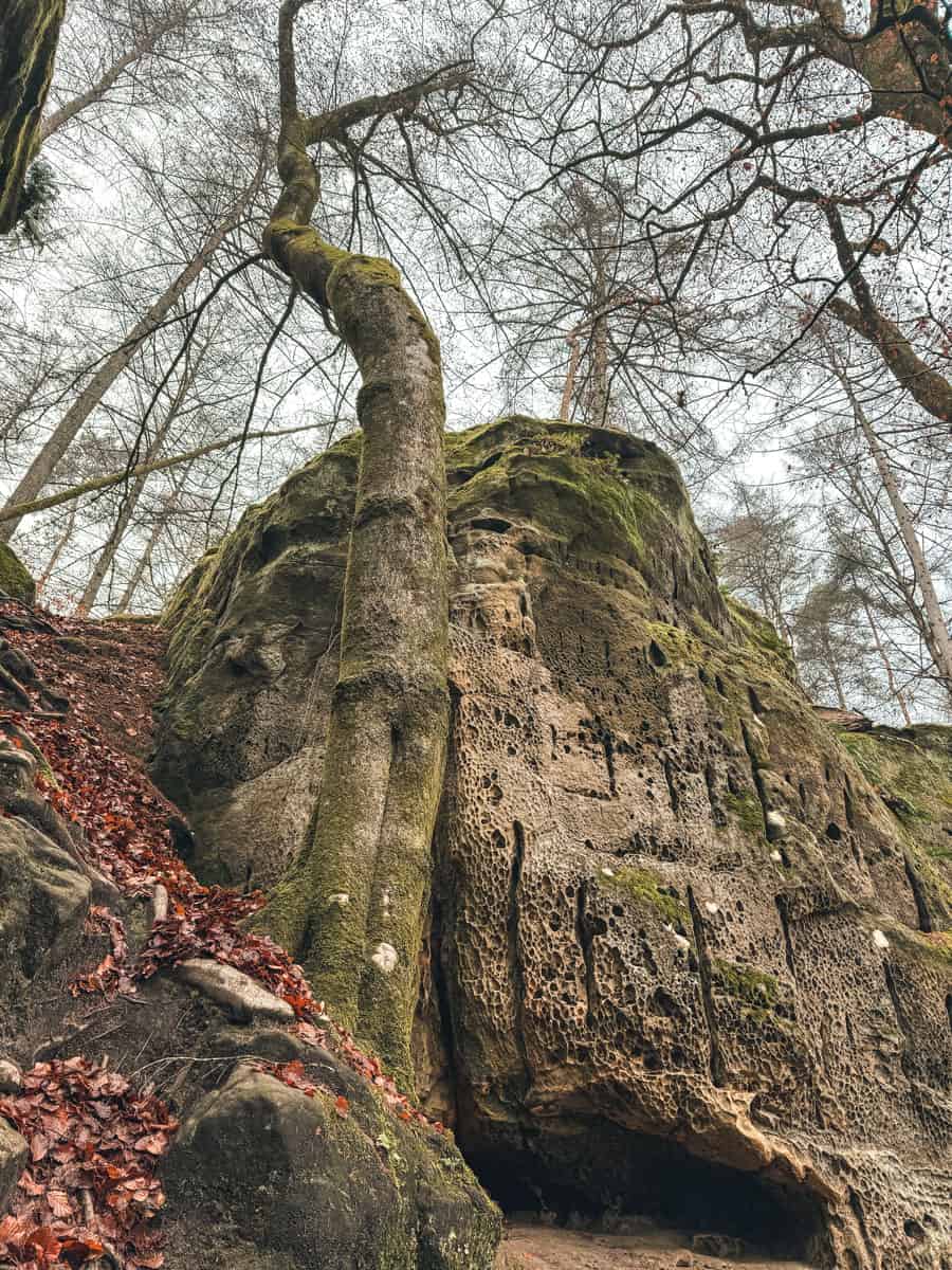 Teufelsschlucht Wanderung in der Südeifel - Reiseblog Bravebird