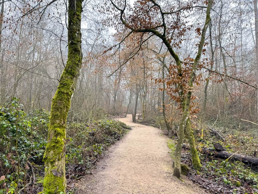 Teufelsschlucht Wanderung in der Südeifel - Reiseblog Bravebird