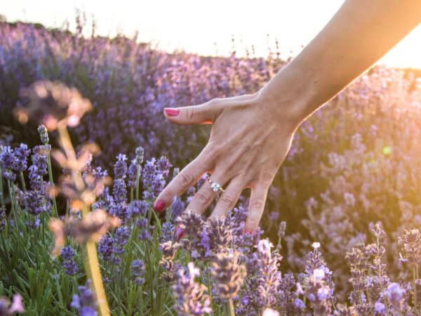 Ökologischer Handabdruck: So einfach kannst du etwas bewirken - Reiseblog Bravebird