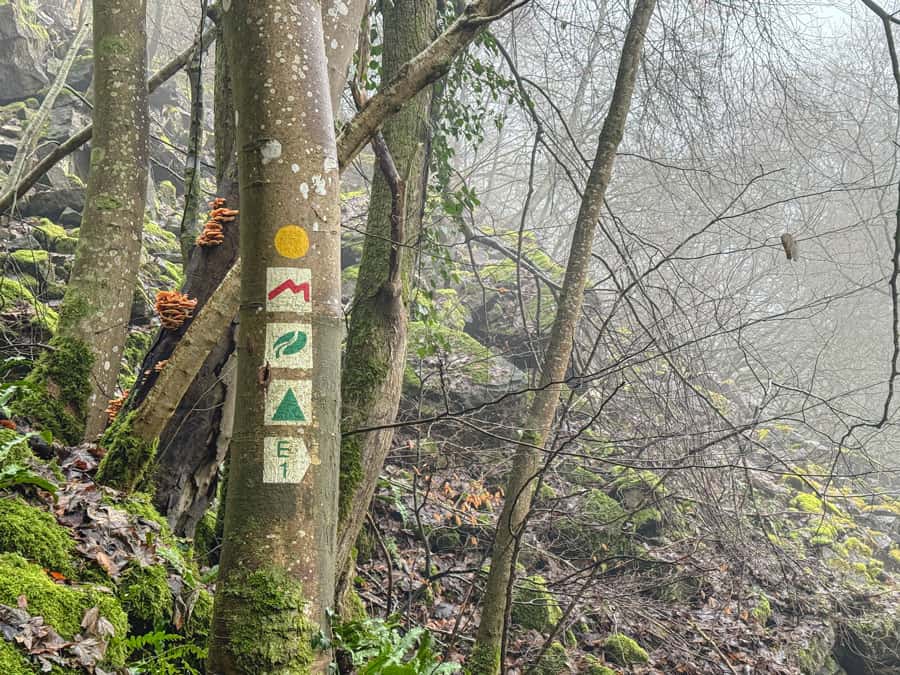 Wolfsschlucht Wegweiser Luxemburg Wandertipp - Reiseblog Bravebird