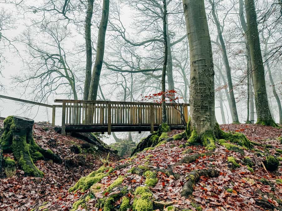 Wolfsschlucht Luxemburg Wandertipp Wolfsschlucht Nebel - Reiseblog Bravebird