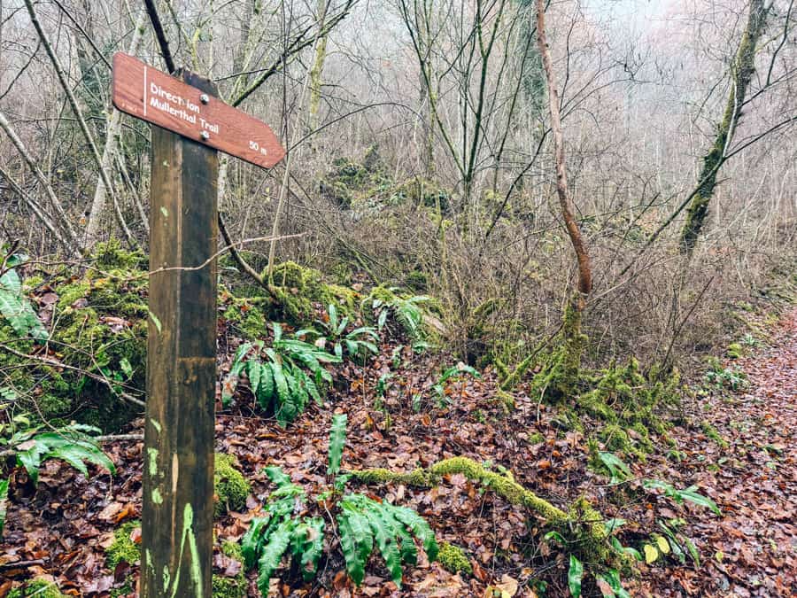 Mullerthal Trail Wolfsschlucht Luxemburg - Reiseblog Bravebird