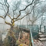 Luxemburger Schweiz Wolfsschlucht Wandertipp - Reiseblog Bravebird