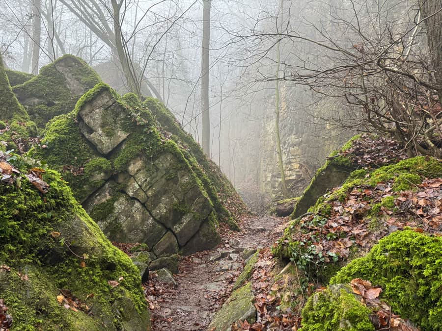 Wolfsschlucht Moos Luxemburg Wandertipp - Reiseblog Bravebird