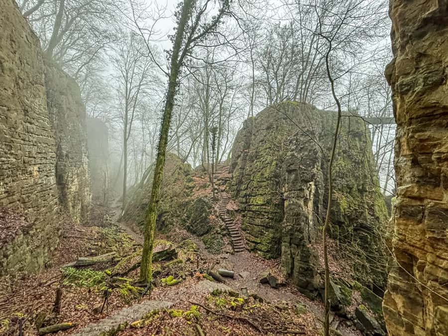 Wolfsschlucht Luxemburg Wandertipp Wolfsschlucht Nebel - Reiseblog Bravebird