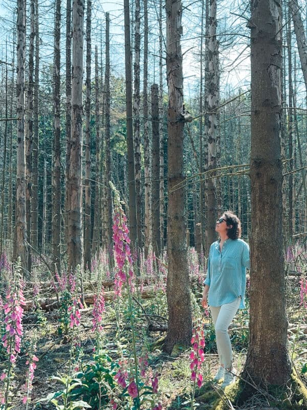 Shifting Baselines - Umweltveränderungen