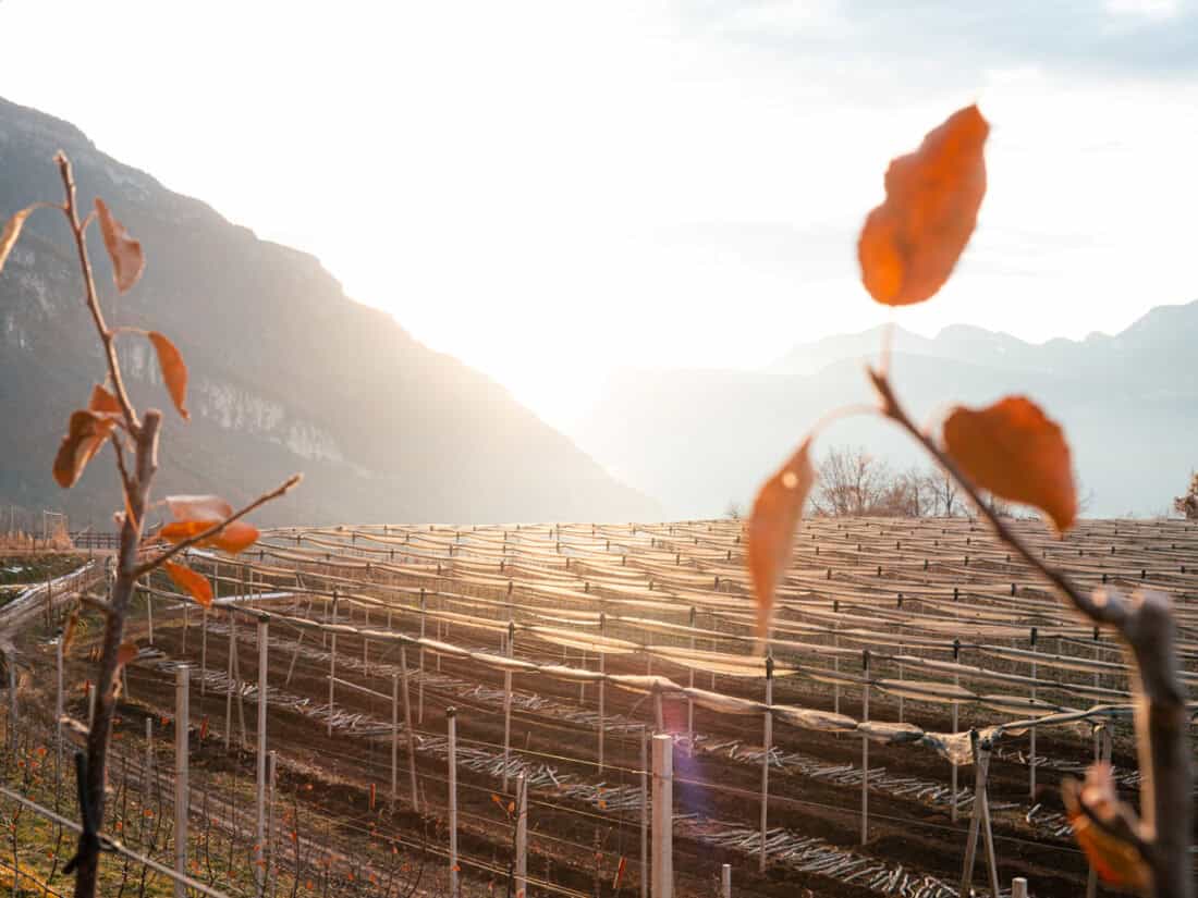 Südtirol Schattenseiten und Kritik Umwelt - Reiseblog Bravebird