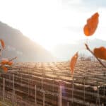 Südtirol Schattenseiten und Kritik Umwelt - Reiseblog Bravebird